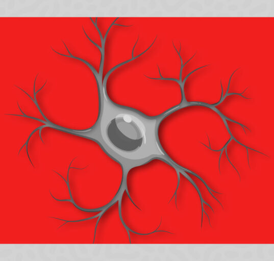 inside-the-brains-immune-system-understanding-the-role-of-microglia