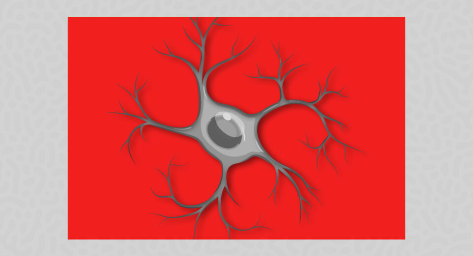 inside-the-brains-immune-system-understanding-the-role-of-microglia