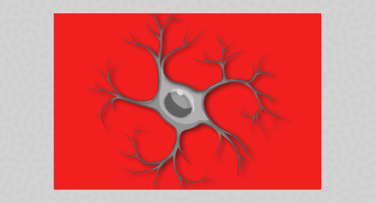 inside-the-brains-immune-system-understanding-the-role-of-microglia