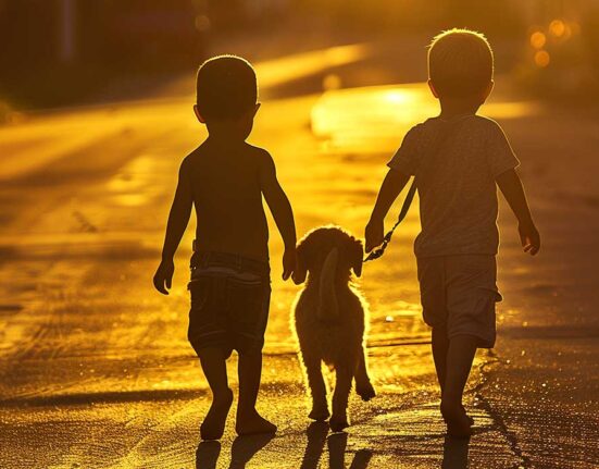 the-psychology-of-street-connected-children-coping-resilience-and-hope