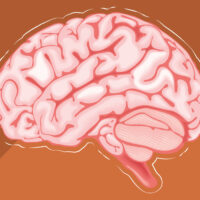 why-brain-rot-content-is-so-addictive