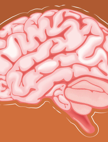 why-brain-rot-content-is-so-addictive
