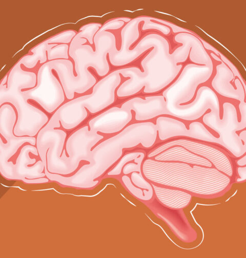 why-brain-rot-content-is-so-addictive