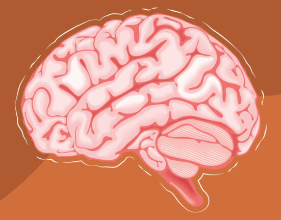 why-brain-rot-content-is-so-addictive
