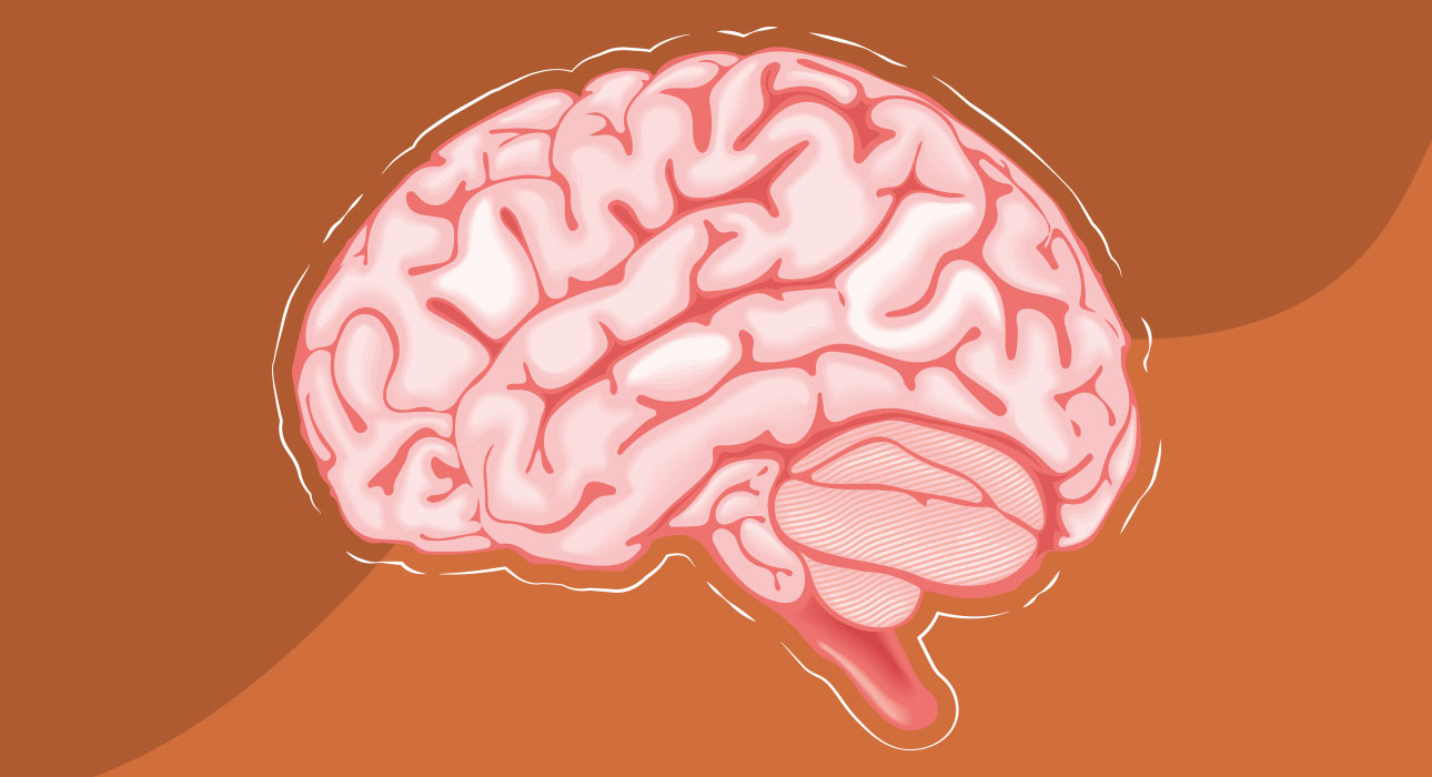 why-brain-rot-content-is-so-addictive
